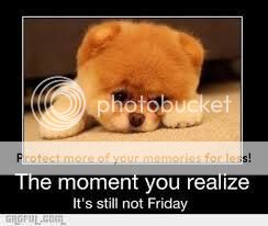 friday_zpse74c0qga.jpg~original