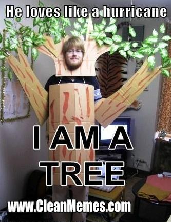 51iamatree1.jpg