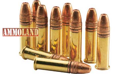 22LR-ammunition.jpg