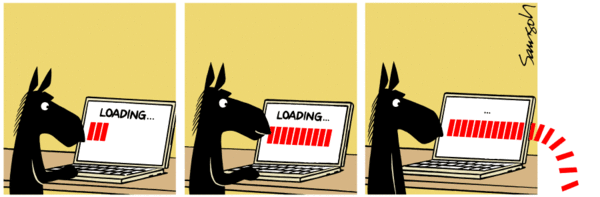 dfe958409a440132c84a005056a9545d