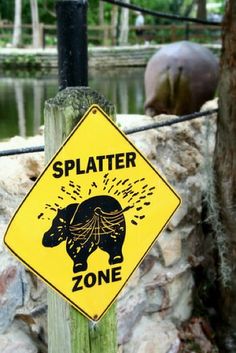 9aa00f4f3135b491c7cdba17782a63ef--bathroom-humor-zoos.jpg