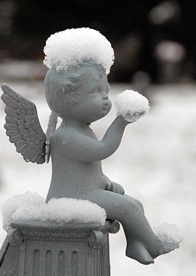 snow-angel-gardening-pinterest.jpg