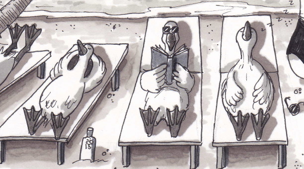 12-days-6-geese-a-laying_2.jpg