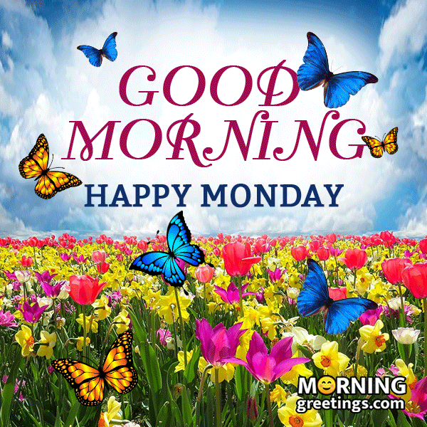 Good-Morning-Happy-Monday-Gif-Image.gif