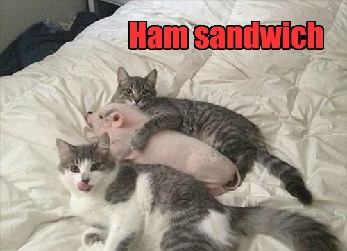 ham-sandwich