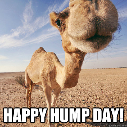 123355-Happy-Hump-Day.jpg