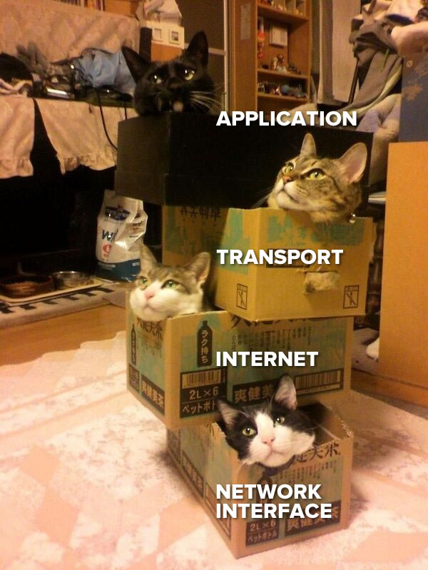 tcp-ip-cat-layers.jpg