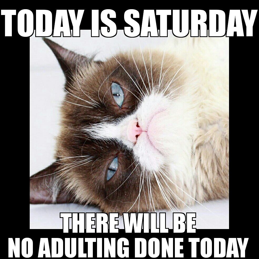 CoDLbEiUAAErcaW.jpg:large