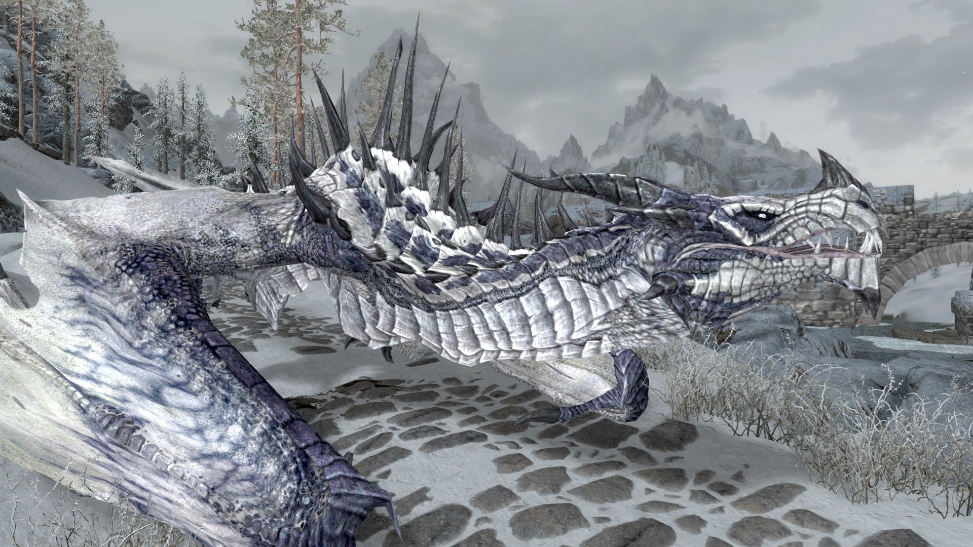 dragon6-1656365789855.jpg