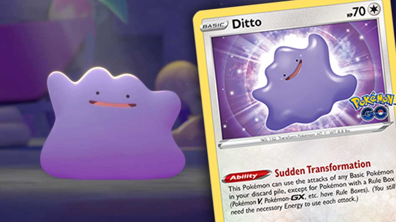 ditto-cards-spike-1773682094093.jpg