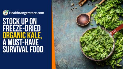Stock up on freeze-dried Organic Kale, a must-have survival food