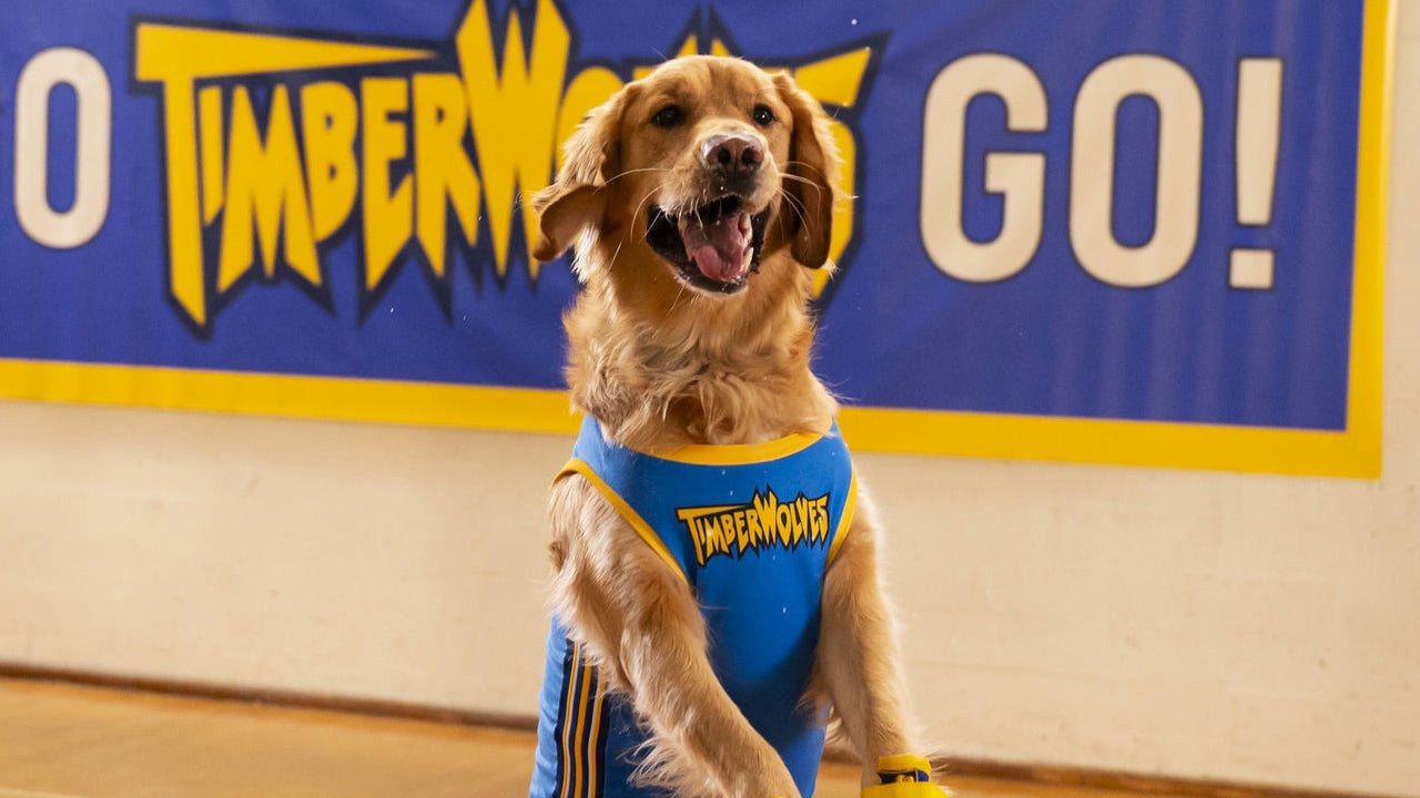 air-bud-blogroll-1776207218396.jpg