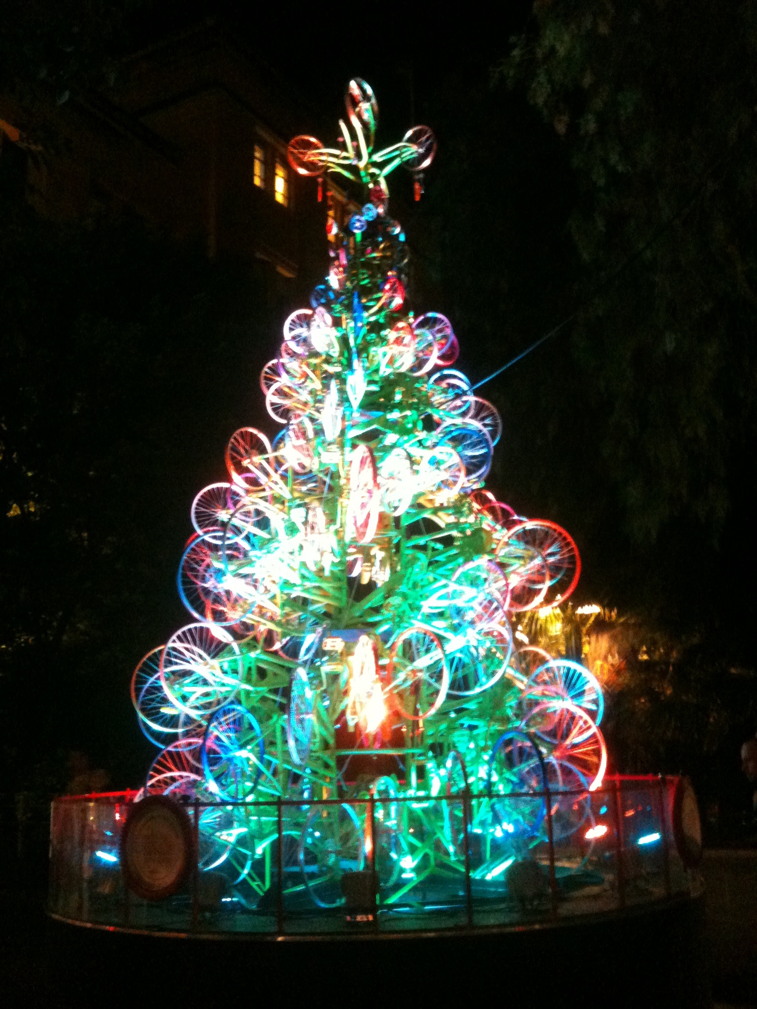 sydney-christmas-tree.jpg