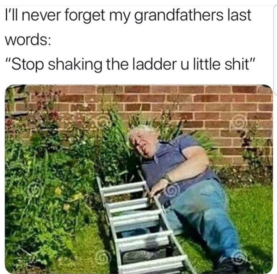 vx2gpsxwi3i01.png