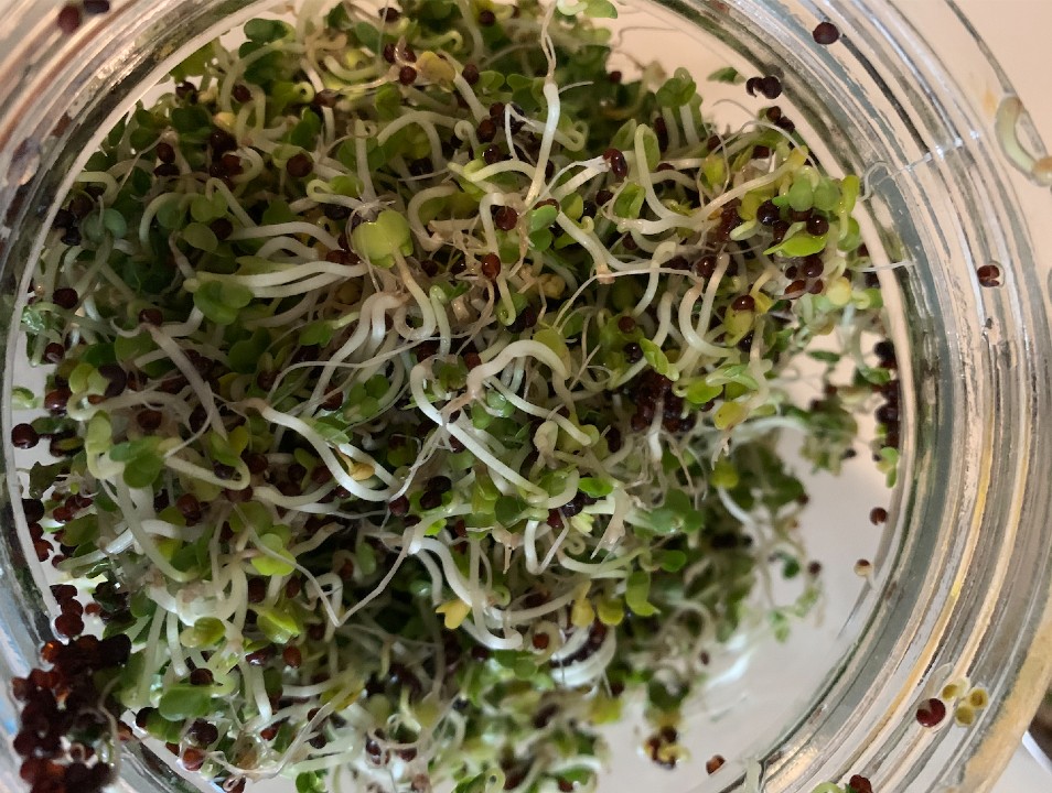 soliscancercommunity.com