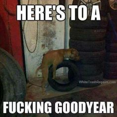 774eb8f8360b2a2e1d4ffdaa103c1b10.jpg