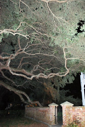 4725904830_e0bab9813a.jpg