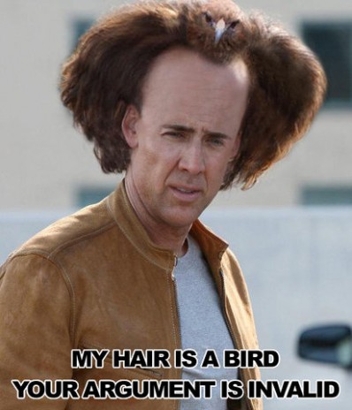 122014041_b_hair_bird_argument_i_42.jpeg