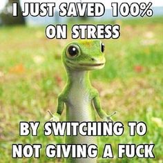 46b9511ff760206ce6403d4e634ca50e--geckos-stress-free.jpg