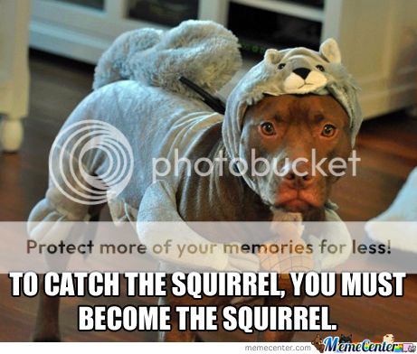 to-catch-the-squirrel-you-must-become-the-squirrel_o_2227513_zpswwkm57xt.jpg
