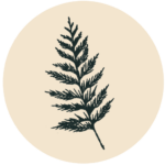 aromaticmedicineschool.com