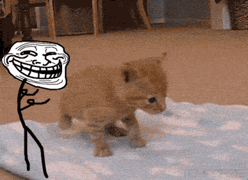 troll-empuja-gato.gif