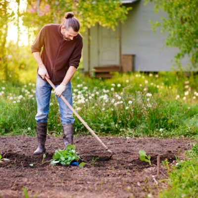 How to Select Garden Hoes for Gardening Tasks