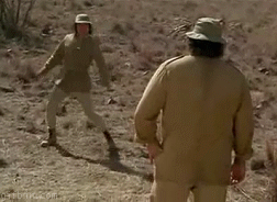 1254666434_bud-spencer-fight.gif