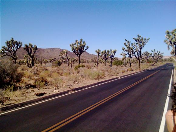 IMG-0359.jpg