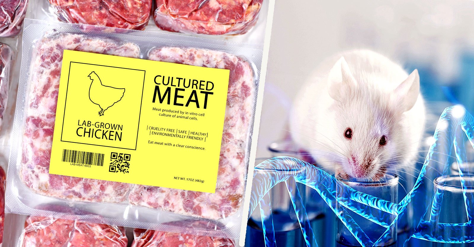 childrenshealthdefense.org