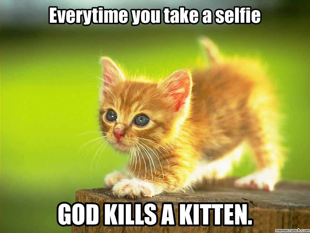 selfiegodkillskitten.png