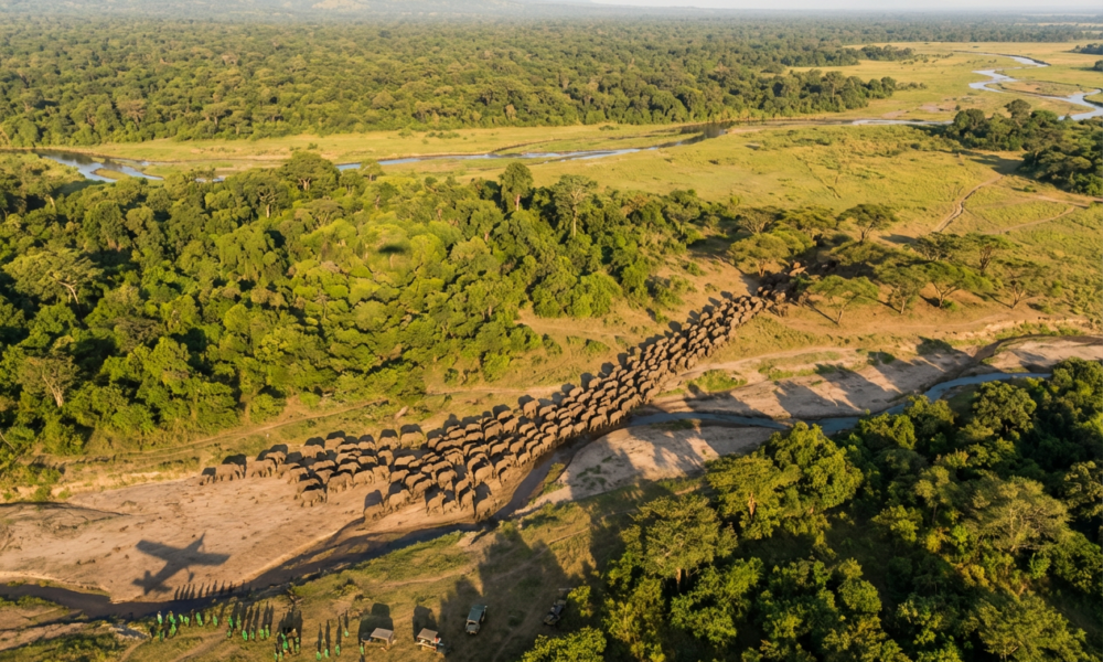 healthyhappynews.com