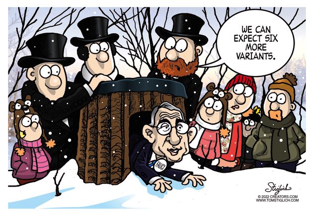 Political Cartoons by Tom Stiglich