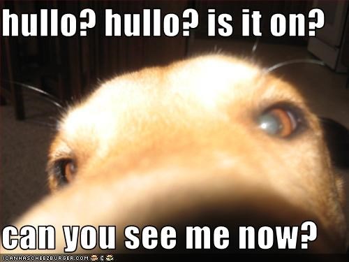 hullo-hullo-is-it-on-can-you-see-me-now