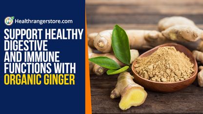 Support healthy digestive and immune functions with Organic Ginger
