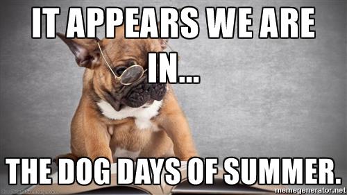 summer-eme-7.jpg