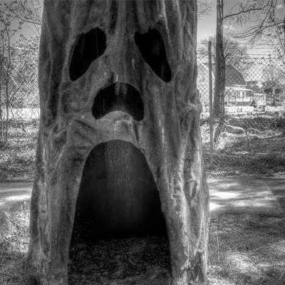 scary+trees.jpg