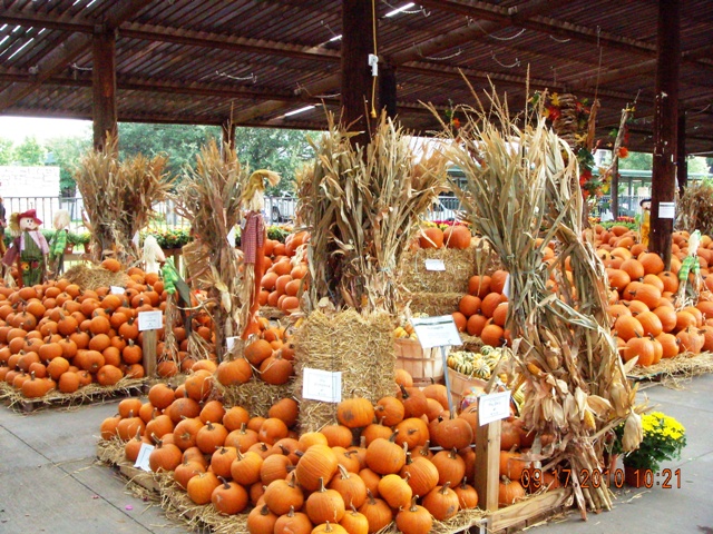 calloways-fall-festival.jpg
