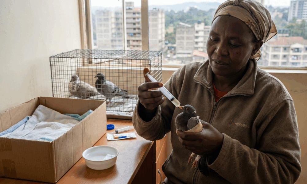 healthyhappynews.com