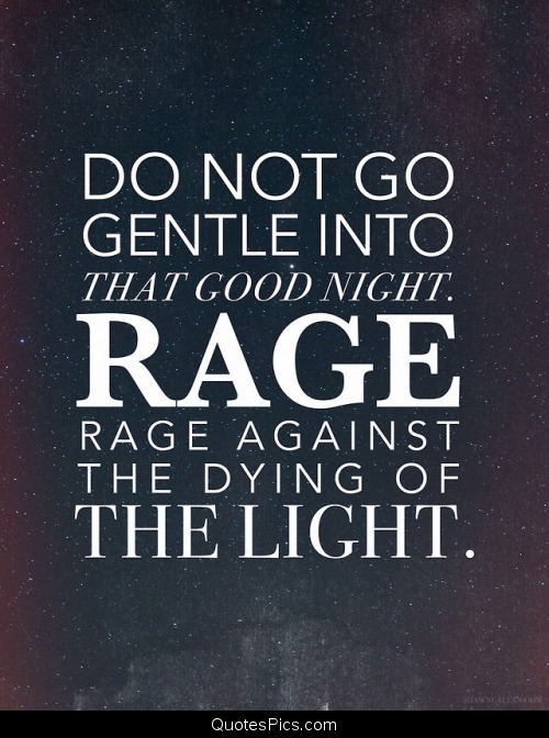 do-not-go-gentle.jpg