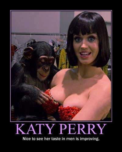 chimp-and-katy-perry.jpg