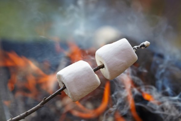 toasting_marshmallows-600x400.jpg
