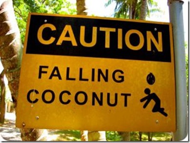 Falling-coconut-warning_thumb.jpg