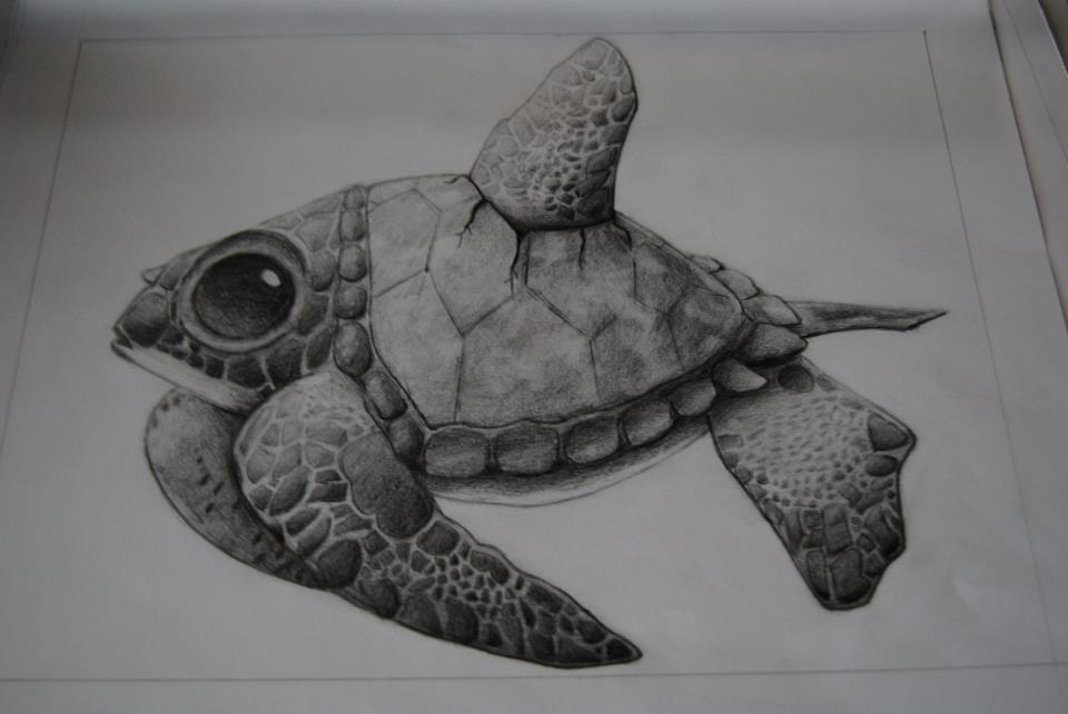 turtle_fish____by_sang_of_blood-d5z6dbh.jpg