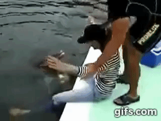 Dauphine mckee dolphin rape GIF - Find on GIFER