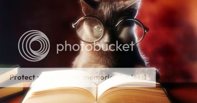 cat-reading-book-1680x1050_zpshob3sgsc.jpg