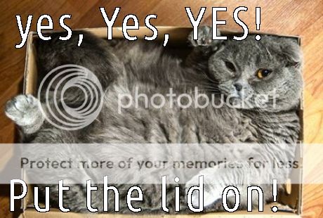 yes-yes-yes-put-the-lid-on-funny-cat-meme_zps5pnt8awq.jpg