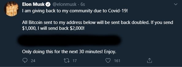 A screenshot of Musk's tweet with the BTC address removed.