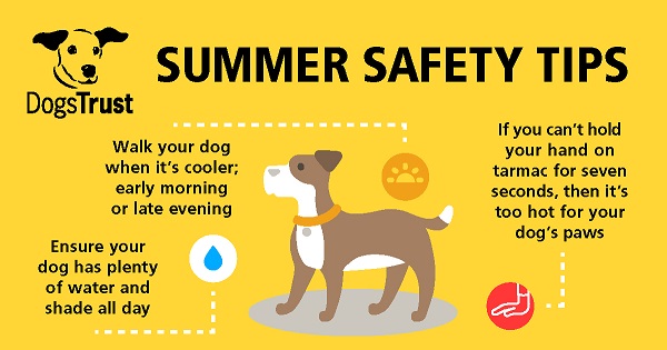 dogs-trust-summer-safetyinfographic-reduced-2.jpg