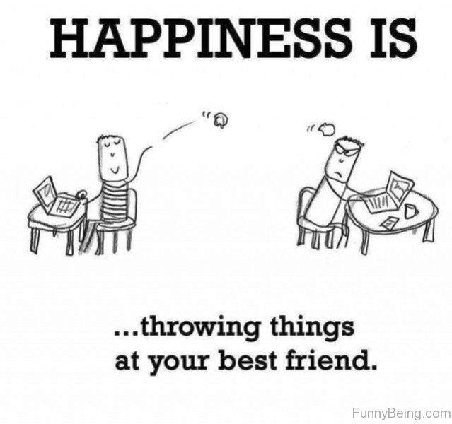 Happiness-Is-Throwing-Things.jpg